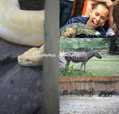 Family Day in Manila Zoo