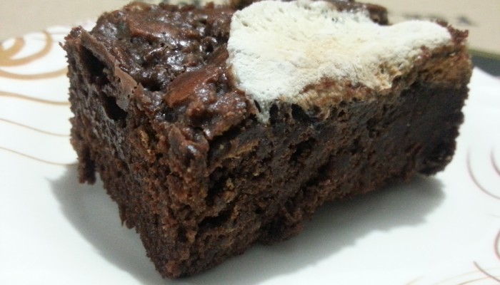 Glamma Momma’s Oven: S’mores Brownies